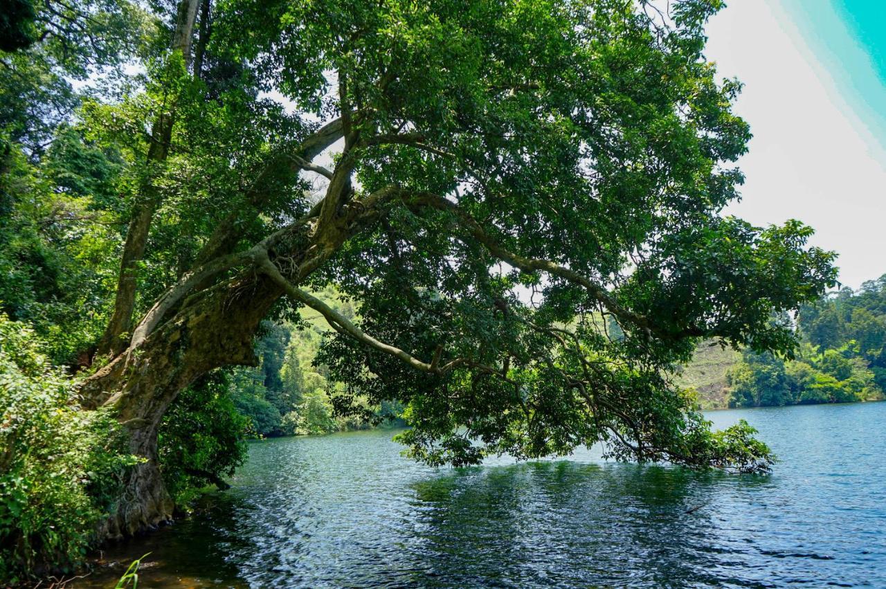 Lake Nyamirima Cottages Fort Portal Exteriör bild